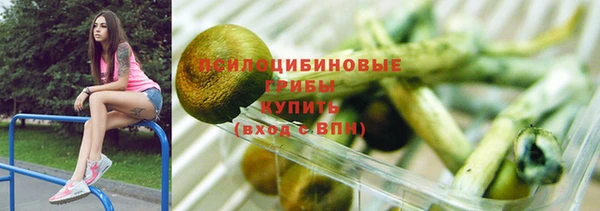 герыч Алексин