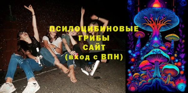 бошки Алзамай
