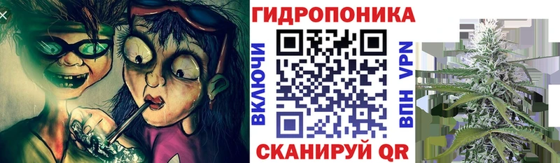 Бошки марихуана план  OMG вход  Разумное 